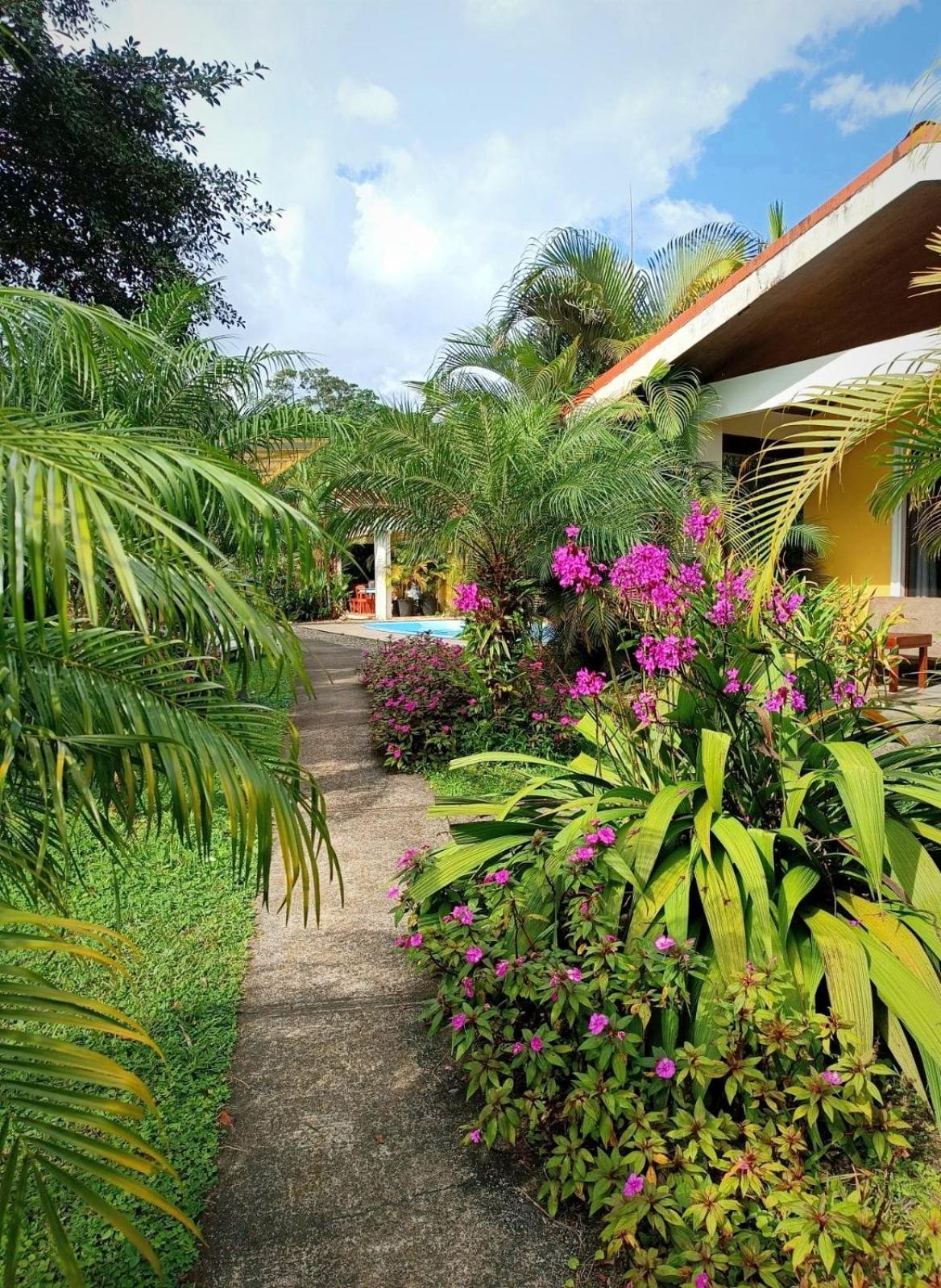 Arenal Villas Tranquilas, Free-Standing Equipped Houses Nuevo Arenal Esterno foto